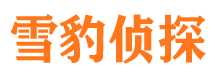 柳北市侦探调查公司